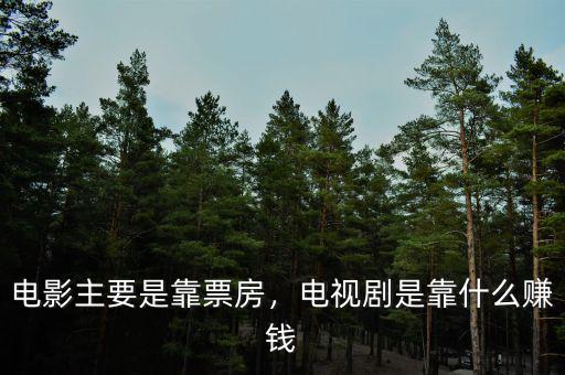 電影主要是靠票房，電視劇是靠什么賺錢(qián)