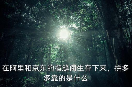 在阿里和京東的指縫間生存下來，拼多多靠的是什么