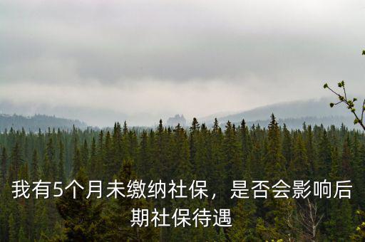 我有5個(gè)月未繳納社保，是否會(huì)影響后期社保待遇