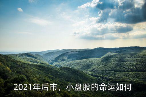 2021年后市，小盤股的命運如何