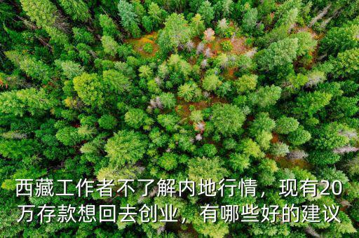 西藏工作者不了解內(nèi)地行情，現(xiàn)有20萬存款想回去創(chuàng)業(yè)，有哪些好的建議
