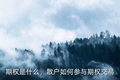 期權(quán)是什么，散戶如何參與期權(quán)交易