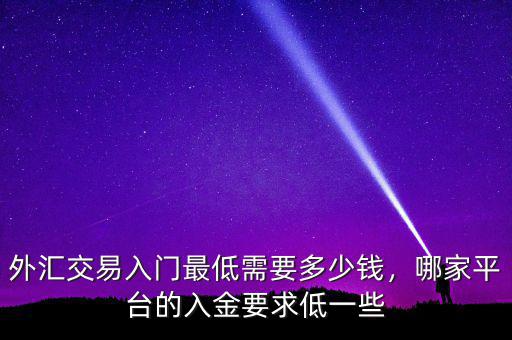 外匯交易入門(mén)最低需要多少錢，哪家平臺(tái)的入金要求低一些