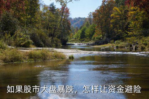 如果股市大盤暴跌，怎樣讓資金避險