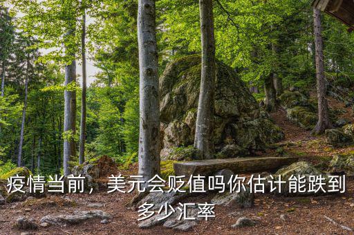 疫情當(dāng)前，美元會(huì)貶值嗎你估計(jì)能跌到多少匯率