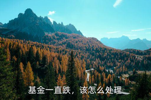 基金一直跌，該怎么處理
