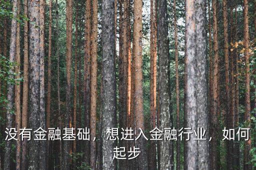 沒有金融基礎(chǔ)，想進(jìn)入金融行業(yè)，如何起步