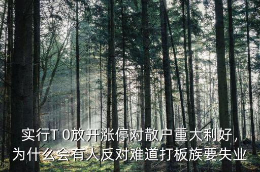 實(shí)行T 0放開漲停對散戶重大利好，為什么會(huì)有人反對難道打板族要失業(yè)