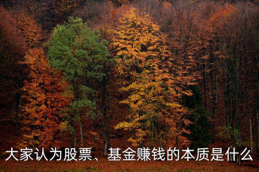 大家認(rèn)為股票、基金賺錢的本質(zhì)是什么