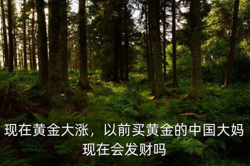 現(xiàn)在黃金大漲，以前買黃金的中國(guó)大媽現(xiàn)在會(huì)發(fā)財(cái)嗎