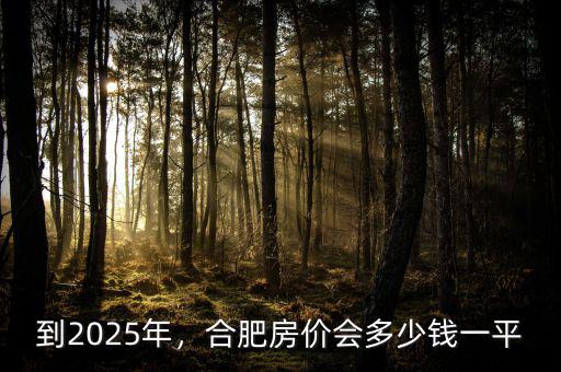 到2025年，合肥房價會多少錢一平