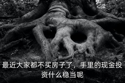 最近大家都不買房子了，手里的現(xiàn)金投資什么穩(wěn)當呢