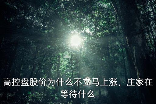 高控盤股價為什么不立馬上漲，莊家在等待什么