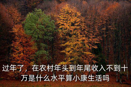 過年了，在農(nóng)村年頭到年尾收入不到十萬是什么水平算小康生活嗎