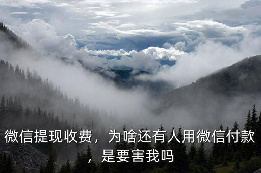 微信提現(xiàn)收費(fèi)，為啥還有人用微信付款，是要害我嗎
