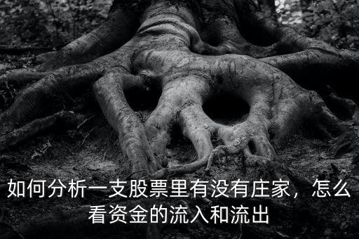 如何分析一支股票里有沒有莊家，怎么看資金的流入和流出