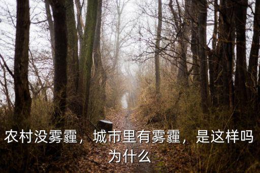 農(nóng)村沒霧霾，城市里有霧霾，是這樣嗎為什么