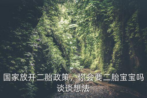 國(guó)家放開二胎政策，你會(huì)要二胎寶寶嗎談?wù)勏敕? class=
