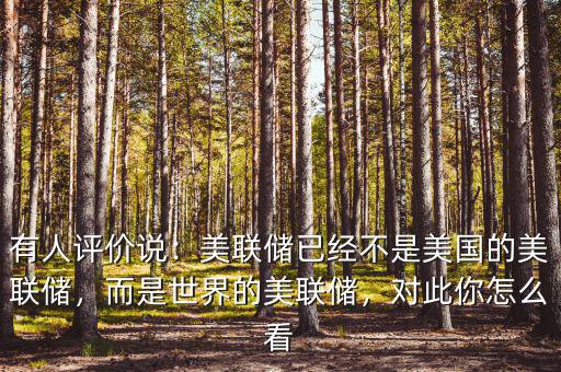 有人評價說：美聯(lián)儲已經(jīng)不是美國的美聯(lián)儲，而是世界的美聯(lián)儲，對此你怎么看