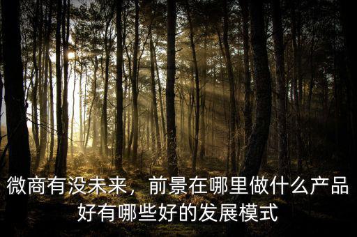 微商有沒未來，前景在哪里做什么產(chǎn)品好有哪些好的發(fā)展模式