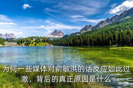 為何一些媒體對(duì)俞敏洪的話反應(yīng)如此過激，背后的真正原因是什么