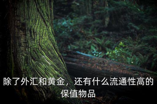 除了外匯和黃金，還有什么流通性高的保值物品