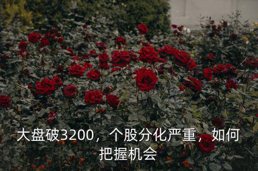 大盤破3200，個(gè)股分化嚴(yán)重，如何把握機(jī)會(huì)