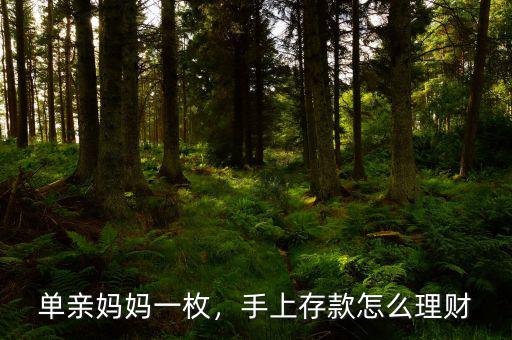 單親媽媽一枚，手上存款怎么理財