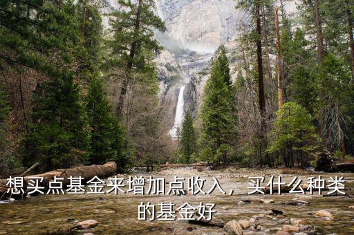想買點(diǎn)基金來(lái)增加點(diǎn)收入，買什么種類的基金好