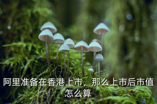 阿里準(zhǔn)備在香港上市，那么上市后市值怎么算