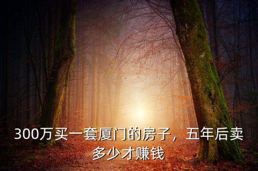 300萬買一套廈門的房子，五年后賣多少才賺錢