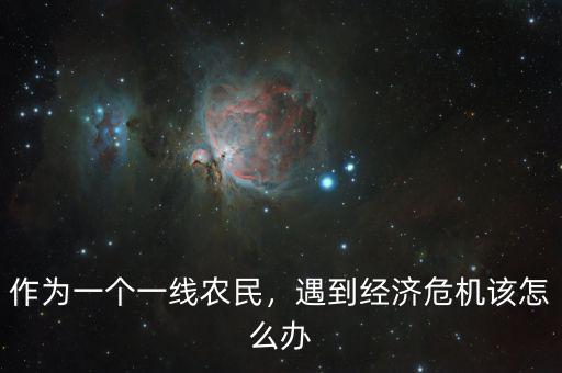 作為一個(gè)一線農(nóng)民，遇到經(jīng)濟(jì)危機(jī)該怎么辦