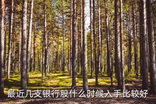 銀行股什么時(shí)間買(mǎi),想買(mǎi)點(diǎn)銀行股