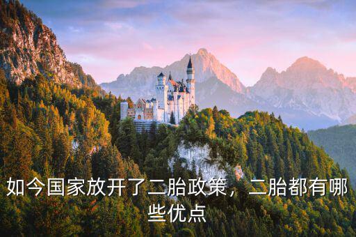 如今國(guó)家放開(kāi)了二胎政策，二胎都有哪些優(yōu)點(diǎn)