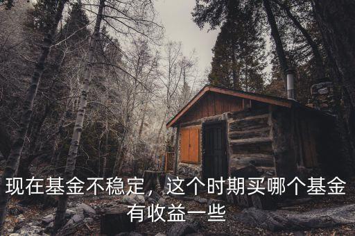 現(xiàn)在基金不穩(wěn)定，這個時期買哪個基金有收益一些