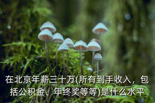 在北京年薪三十萬(所有到手收入，包括公積金、年終獎等等)是什么水平
