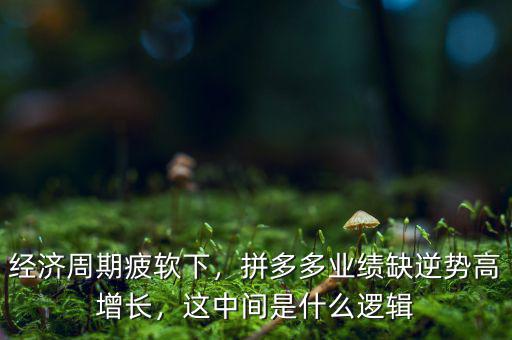 經(jīng)濟(jì)周期疲軟下，拼多多業(yè)績?nèi)蹦鎰莞咴鲩L，這中間是什么邏輯