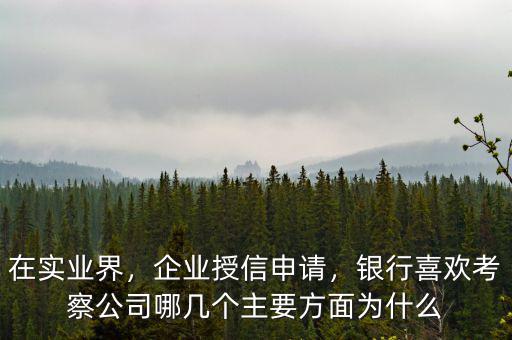 在實(shí)業(yè)界，企業(yè)授信申請(qǐng)，銀行喜歡考察公司哪幾個(gè)主要方面為什么