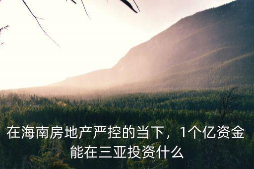 在海南房地產(chǎn)嚴(yán)控的當(dāng)下，1個億資金能在三亞投資什么