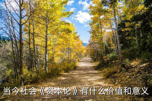 當(dāng)今社會《資本論》有什么價(jià)值和意義