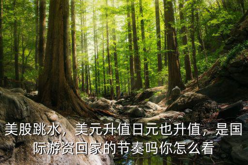 美股跳水，美元升值日元也升值，是國際游資回家的節(jié)奏嗎你怎么看