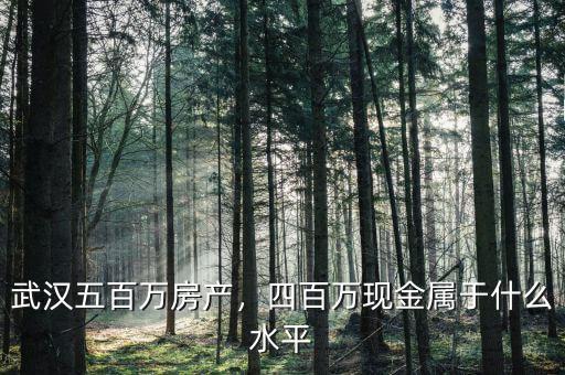 武漢五百萬(wàn)房產(chǎn)，四百萬(wàn)現(xiàn)金屬于什么水平