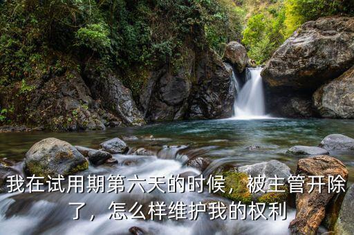 我在試用期第六天的時候，被主管開除了，怎么樣維護我的權利