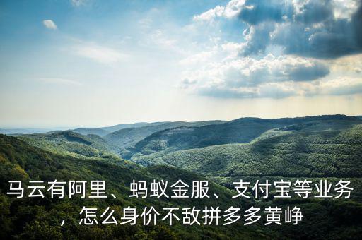馬云有阿里、螞蟻金服、支付寶等業(yè)務(wù)，怎么身價不敵拼多多黃崢