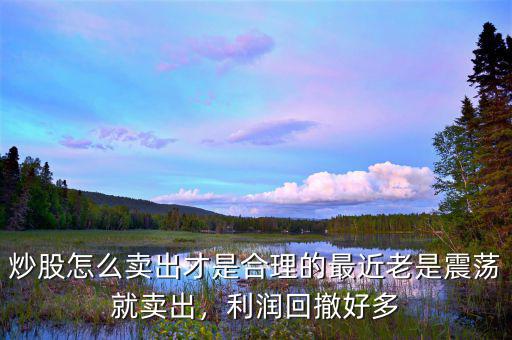 炒股怎么賣出才是合理的最近老是震蕩就賣出，利潤回撤好多