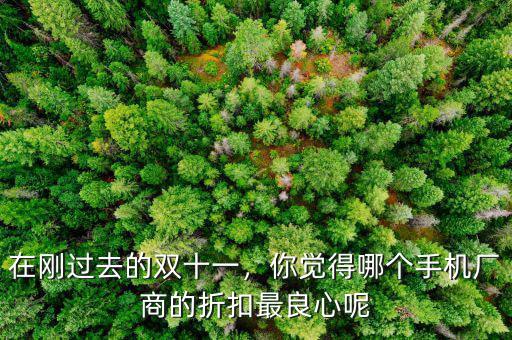 在剛過去的雙十一，你覺得哪個(gè)手機(jī)廠商的折扣最良心呢