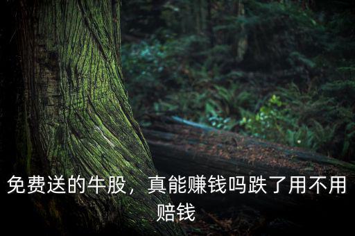 免費(fèi)送的牛股，真能賺錢嗎跌了用不用賠錢