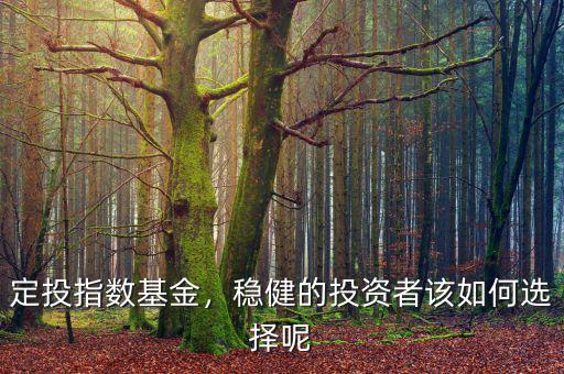定投指數(shù)基金，穩(wěn)健的投資者該如何選擇呢