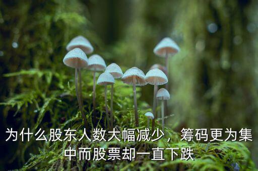 為什么股東人數(shù)大幅減少，籌碼更為集中而股票卻一直下跌