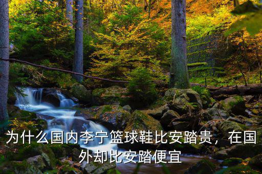 為什么國內(nèi)李寧籃球鞋比安踏貴，在國外卻比安踏便宜